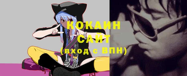 мдпв Козельск