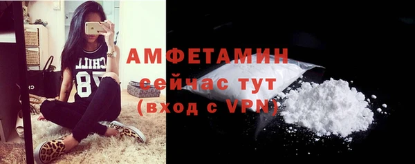 мдпв Козельск