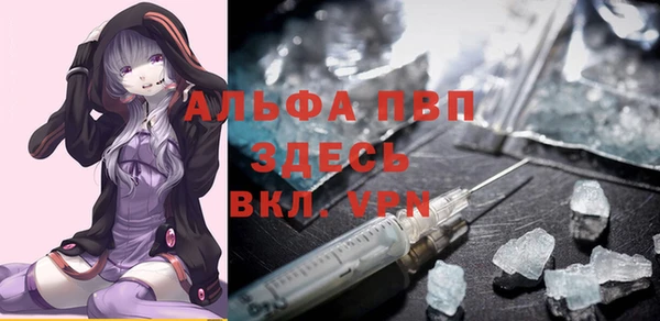мдпв Козельск