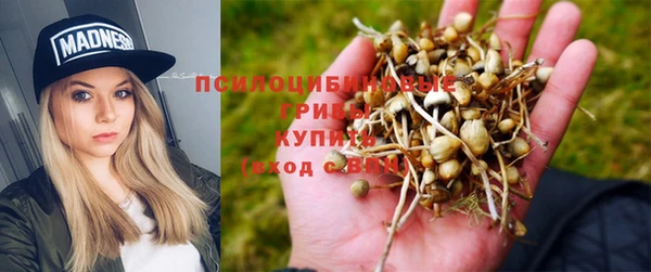 каннабис Козловка
