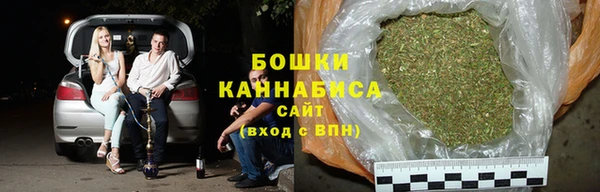 мдпв Козельск