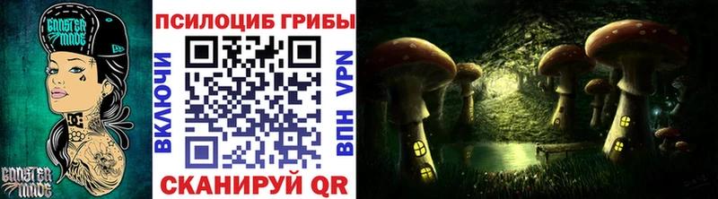 Купить закладки  Арамиль  Псилоцибиновые грибы GOLDEN TEACHER 
